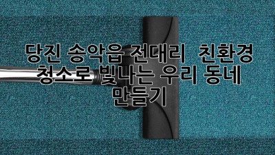 당진 송악읍 전대리, 🌿 친환경 청소로 빛나는 우리 동네 만들기 ✨